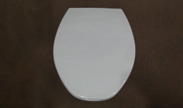 > </div>
<div class=